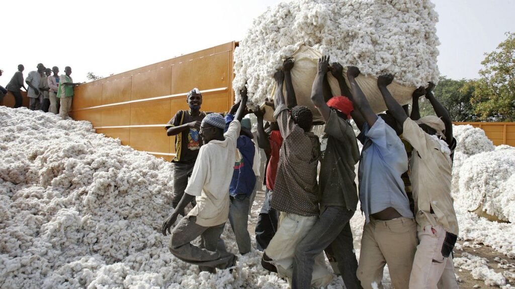Culture du coton au Mali : la Chine installera deux unités de filature