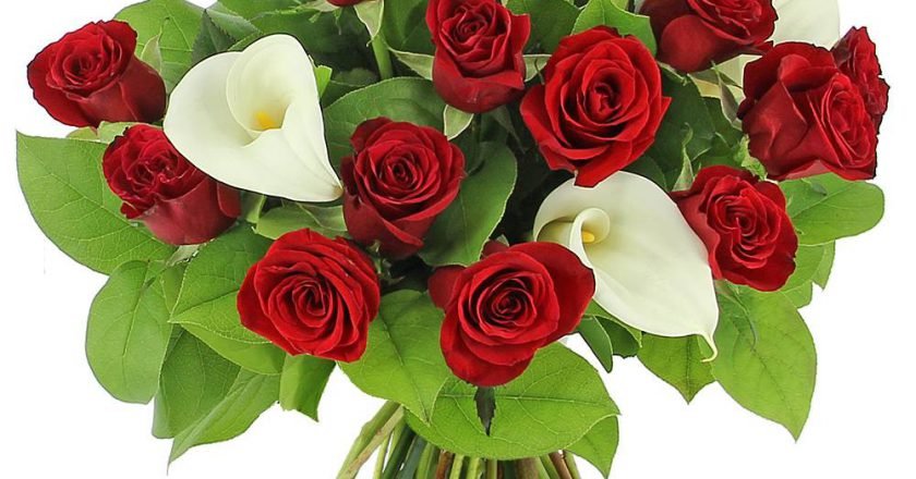 Un bouquet de roses pour les blouses blanches