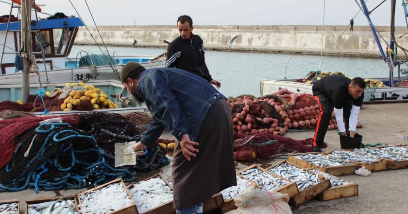 Le spleen solitaire des pêcheurs de Ténès