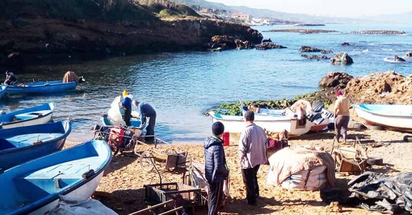 Crique d’El Marsa à Aïn Tagouraït : On pêche comme on peut