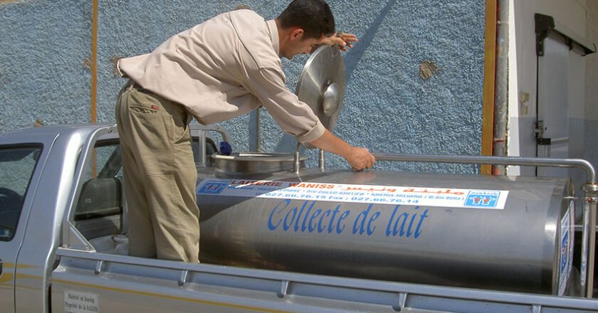 Production de lait : vers une meilleure collecte du lait cru
