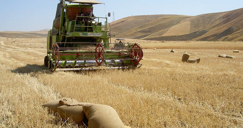 Production céréalière : des commissions pour recenser les terres cultivées