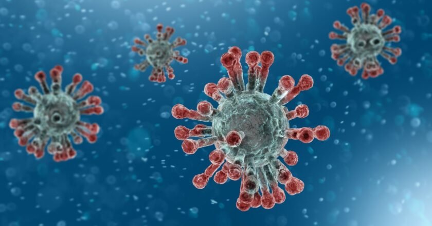 Coronavirus : 29 nouveaux cas et aucun décès ces dernières 24h en Algérie