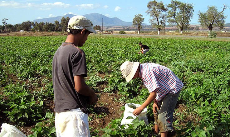 Il devrait passer à 73 millions en 2022 : le chômage des jeunes en hausse dans le monde.