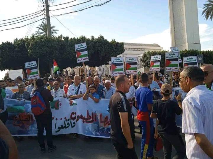Génocide du peuple palestinien : la rue gonde à Chlef 