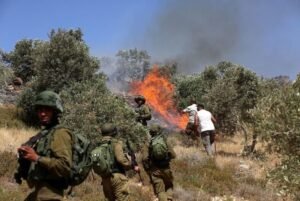 Exactions des colons sionistes : la Palestine en appelle à la CPI