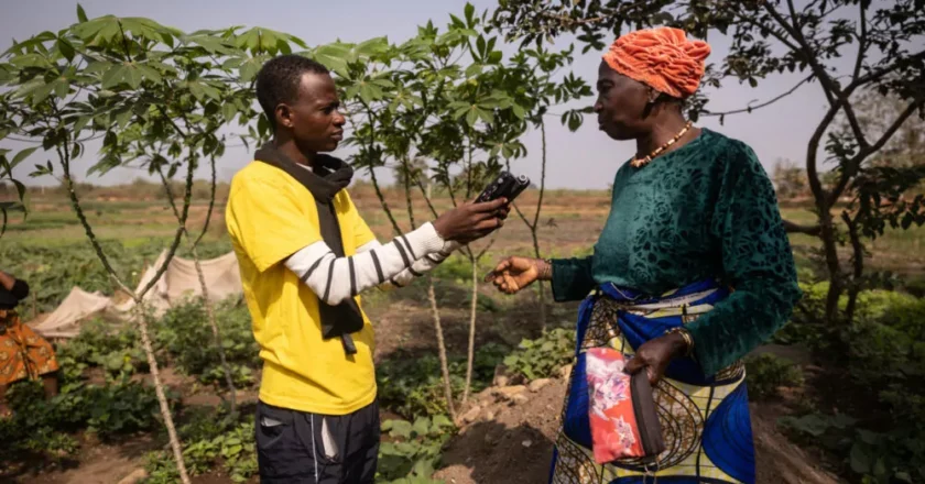 Journalisme environnemental en Afrique : précarité et désinformation fragilisent les médias spécialisés