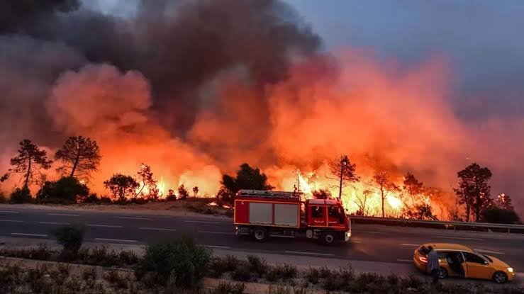 Les flammes de la désolation
